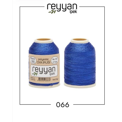 66